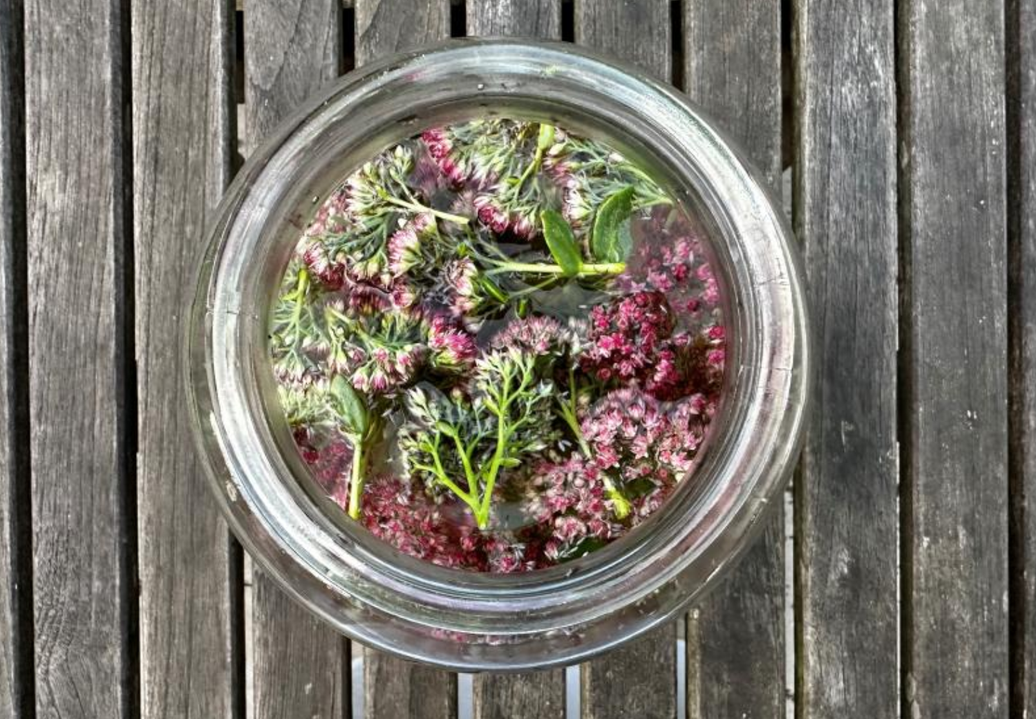 Bloemenchampagne in de klas: van recept tot serveermoment